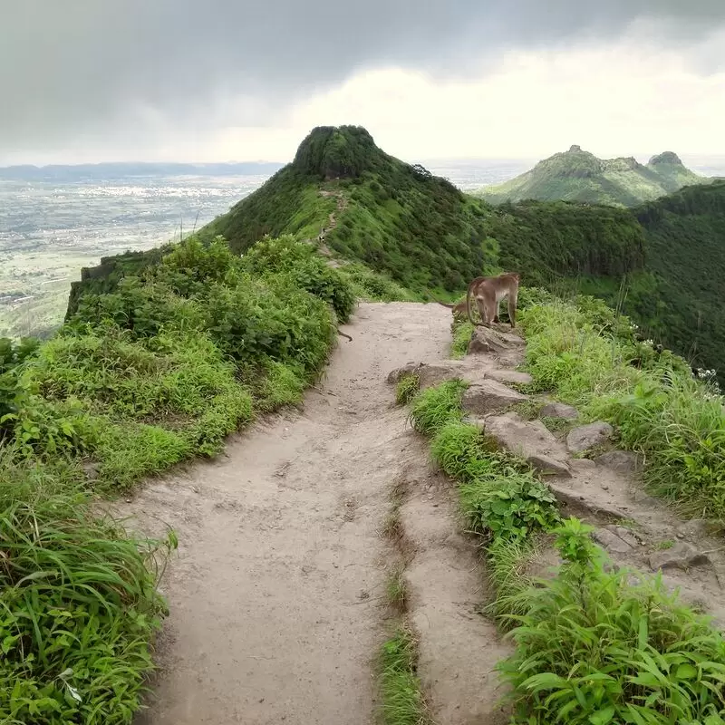 Purandar Fort